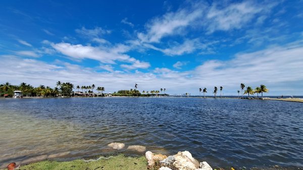 Matheson Hammock Park & Marina by null