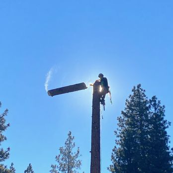 Machucas Tree Service - Tree Services Near Me