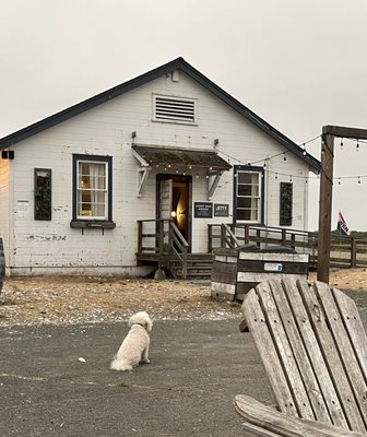 Humboldt Bay Social Club by null