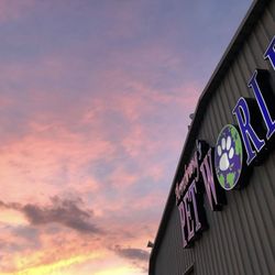 Armstrong's Pet World - Armstrong's Pet World