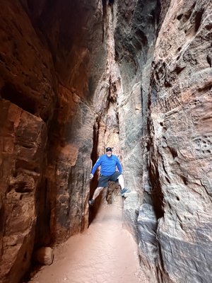 Snow Canyon State Park by null