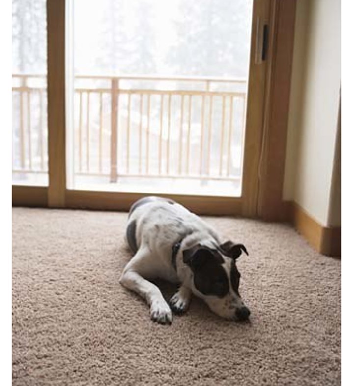 Phoenix Carpet and Upholstery - upholstery in Phoenix, AZ