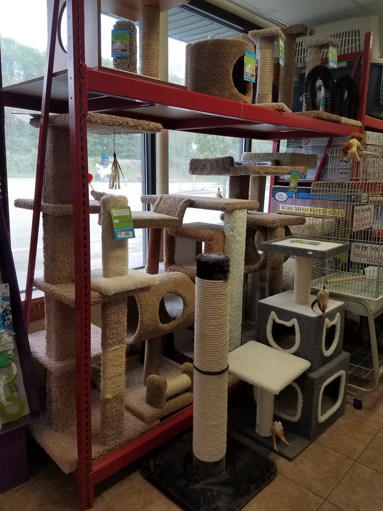 CRYSTAL CLEAR FAMILY PETS 33 High St, Ellsworth, Maine Pet Stores