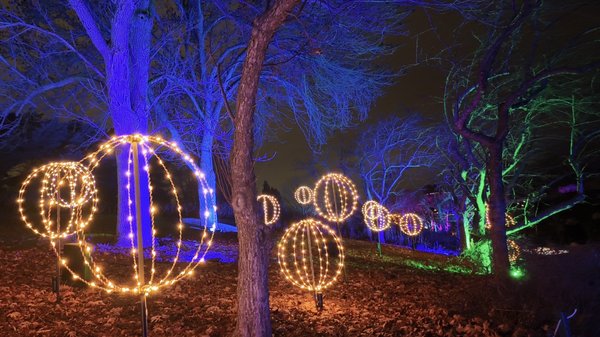 Chicago Botanic Garden by null