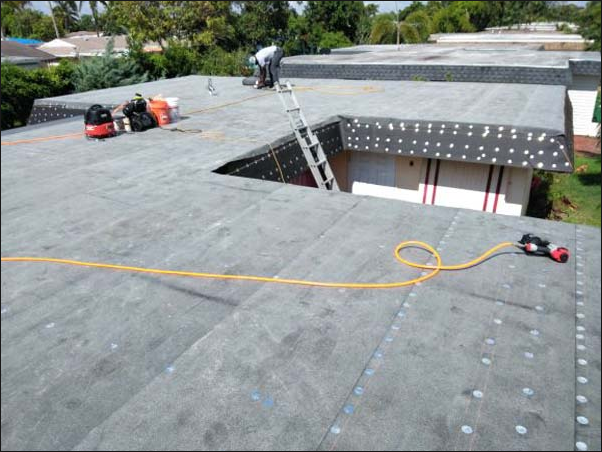 Slide of Sealy Trinbago