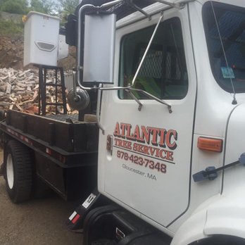 Atlantic Tree Service - Tree Services Near Me
