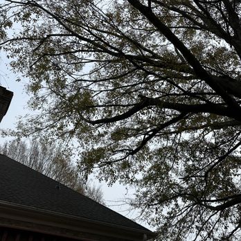 Stump Away Landscaping - Tree Services Near Me Stump Away Landscaping - Tree Services Near Me