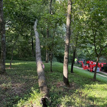Ecoland Maintenance - Tree Services Near Me Ecoland Maintenance - Tree Services Near Me