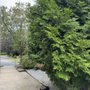 Photo of Moravian Cemetery
