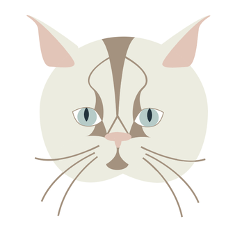 EMMAvet - Tiny Taco - Veterinarians Near Me - Alexandria, Virginia