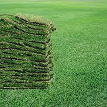 Wilson Sod Farms - Nurseries & Gardening Near Me - Montgomery, Alabama Wilson Sod Farms - Nurseries & Gardening Near Me - Montgomery, Alabama