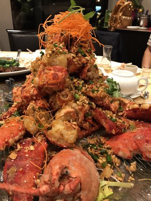 Captain's Catch by null