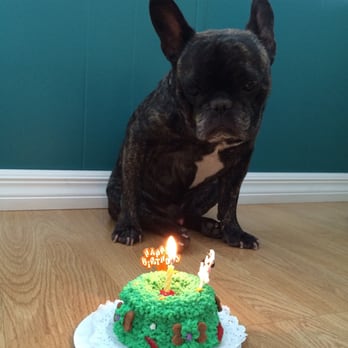 PJ's Pet Cafe - Birthday cake from PJ's. He LOVED it! - Pet Stores Near Me - Long Beach, California PJ's Pet Cafe - Birthday cake from PJ's. He LOVED it! - Pet Stores Near Me - Long Beach, California