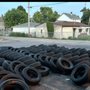El Guero Tire Shop