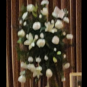 Miracle Flowers - Flowers delivered with no card, no bow - Florists Near Me - Folsom, California