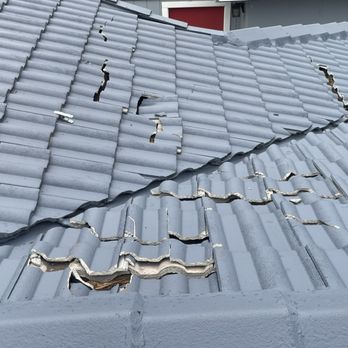 Absolute Termite & Pest Control - Pest Control Near Me - Kapolei, Hawaii