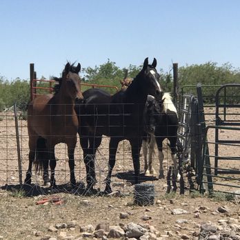 DD Gamble Guest Lodge and Ranch - Bed & Breakfast Near Me - Portal, Arizona