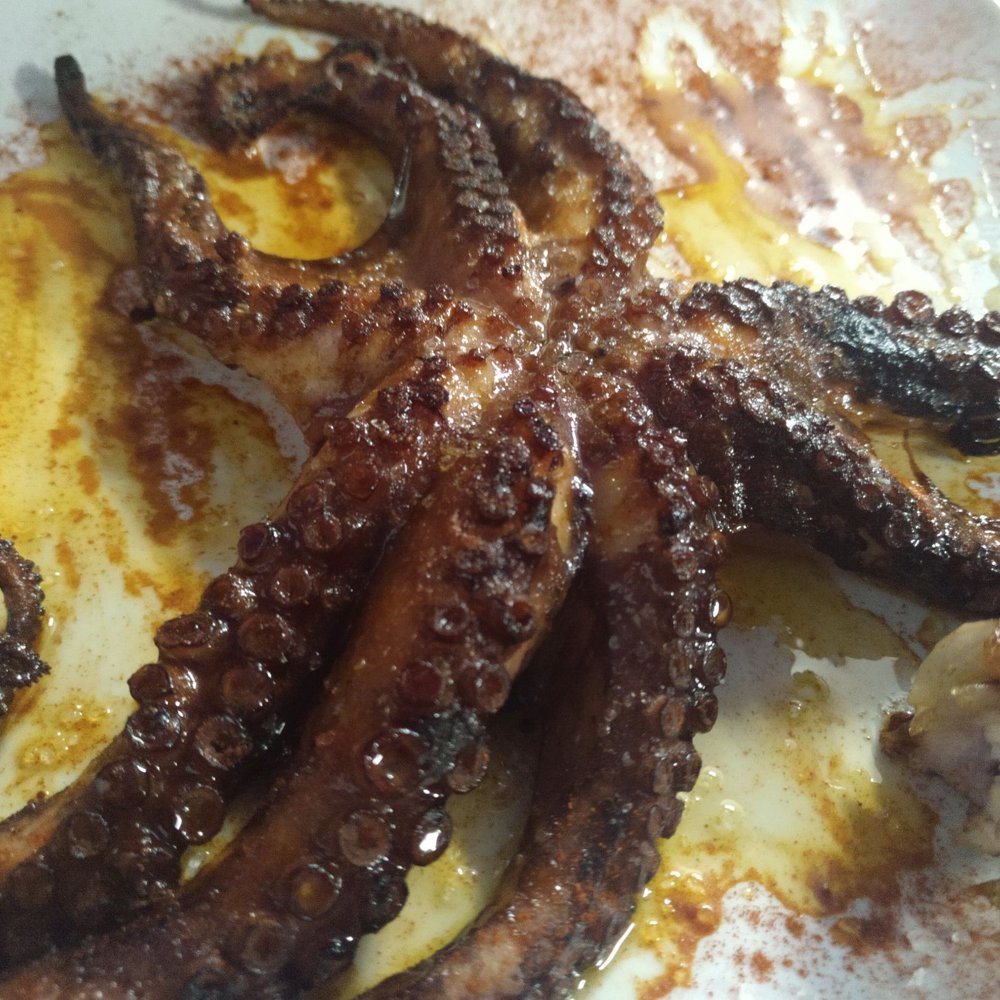 El Rojo - So happy in an octopus's garden - Spanish Near Me - Torrevieja, A