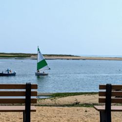 Cove House Rentals