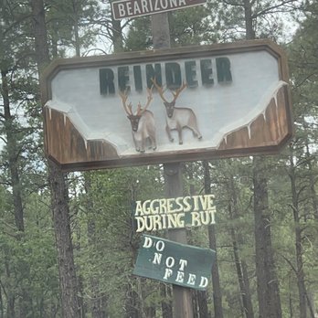 Bearizona - Zoos Near Me - Williams, Arizona Bearizona - Zoos Near Me - Williams, Arizona