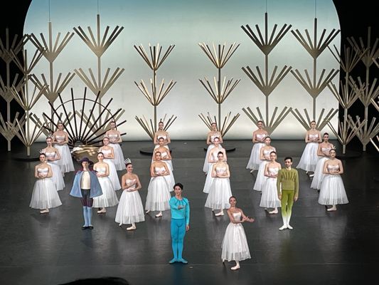 Opéra National de Bordeaux - Grand-Théâtre by null