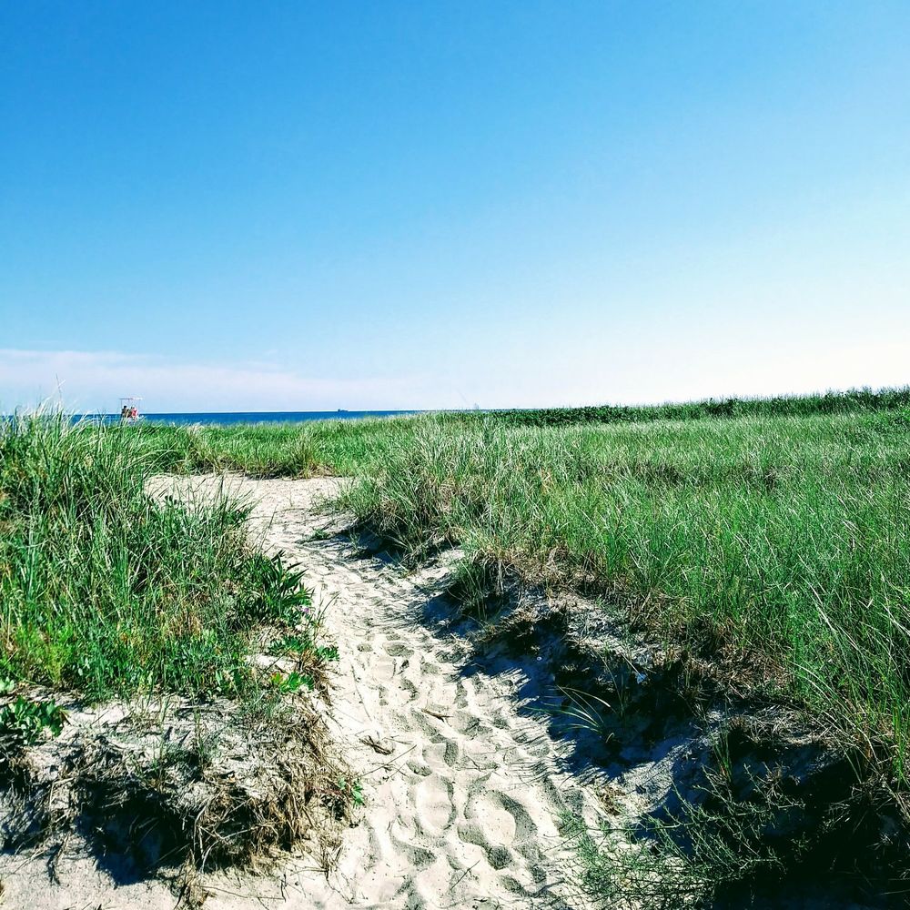 Beach path Beach path