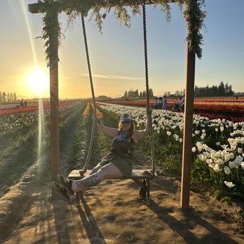 Tulip Town - Swing.:-) - Botanical Gardens Near Me - Mount Vernon, Washington Tulip Town - Swing.:-) - Botanical Gardens Near Me - Mount Vernon, Washington
