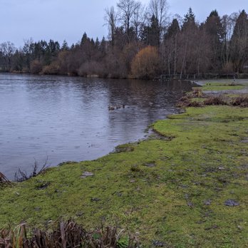 Deer Lake Park - Parks Near Me - Burnaby, British Columbia Deer Lake Park - Parks Near Me - Burnaby, British Columbia
