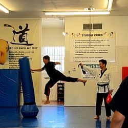 Double Dragon Tae Kwon Do