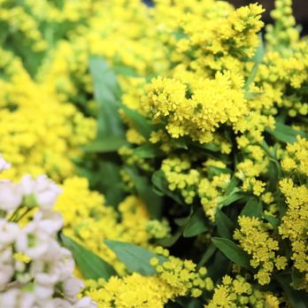 A&J Flowers - Florists Near Me A&J Flowers - Florists Near Me