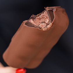 Atelier Disset - Delicious Chocolate Icecream!