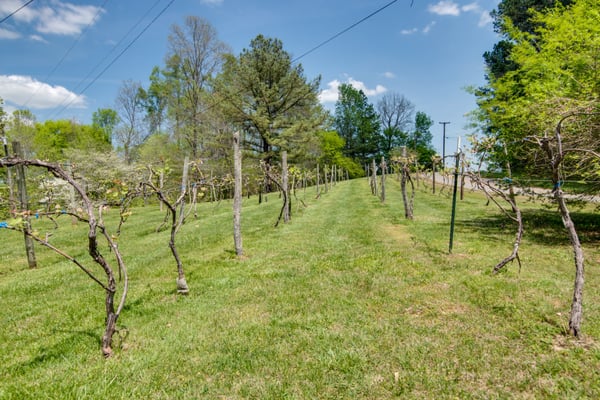 Hachland Hill by null