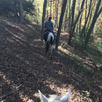 Dutch Creek Trails - Horseback Riding Near Me - Sugar Grove, North Carolina Dutch Creek Trails - Horseback Riding Near Me - Sugar Grove, North Carolina