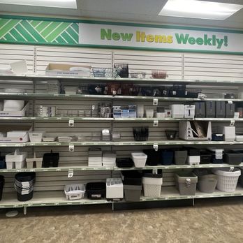 Dollar Tree - 2.18.26 - Discount Store Near Me - Montgomery Village, Maryland