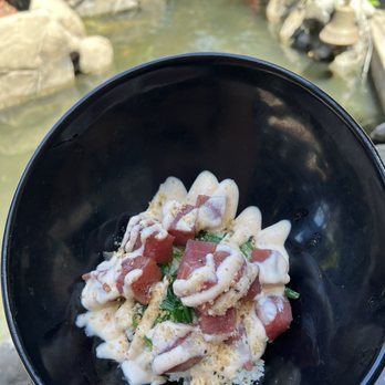 Down the Hatch Maui - Poke bowl - Seafood Near Me - Lahaina, Hawaii Down the Hatch Maui - Poke bowl - Seafood Near Me - Lahaina, Hawaii