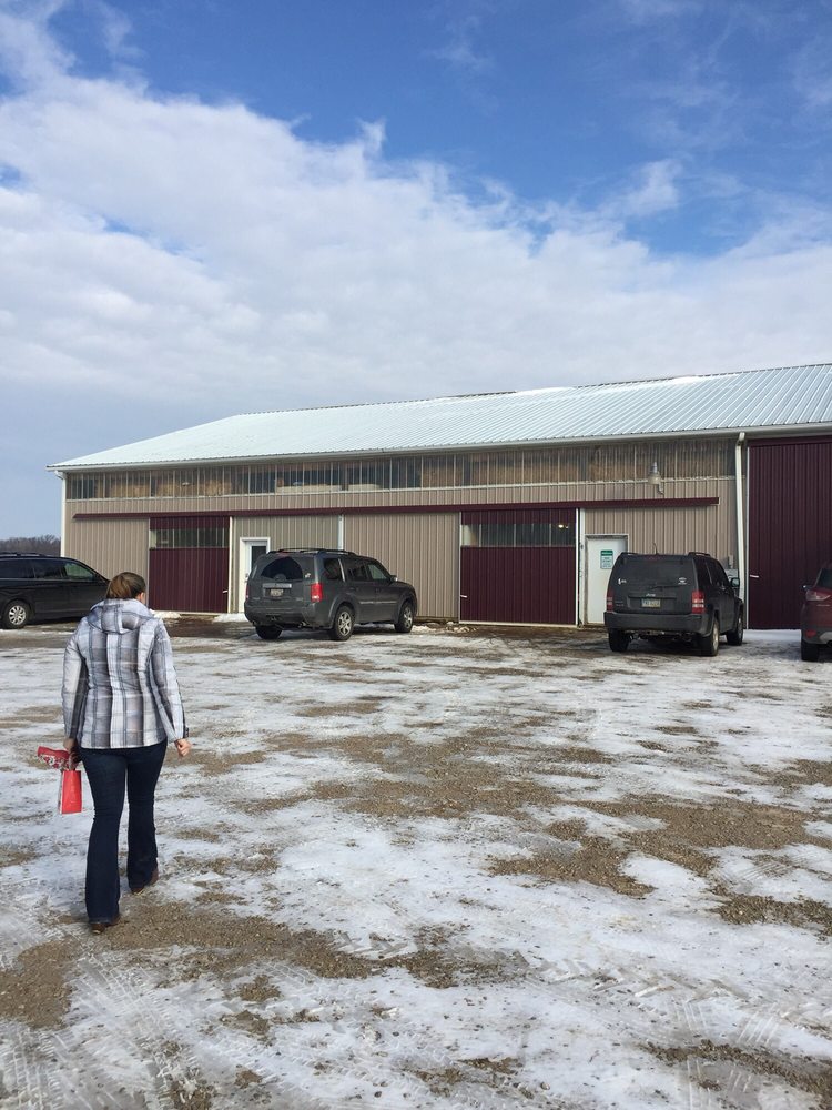 Equine Differences - equestrian in Oberlin, OH
