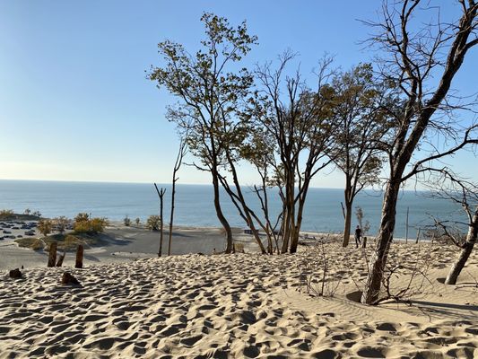 Warren Dunes State Park by null