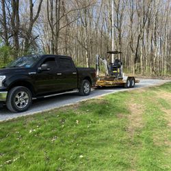 A.M. Landscape