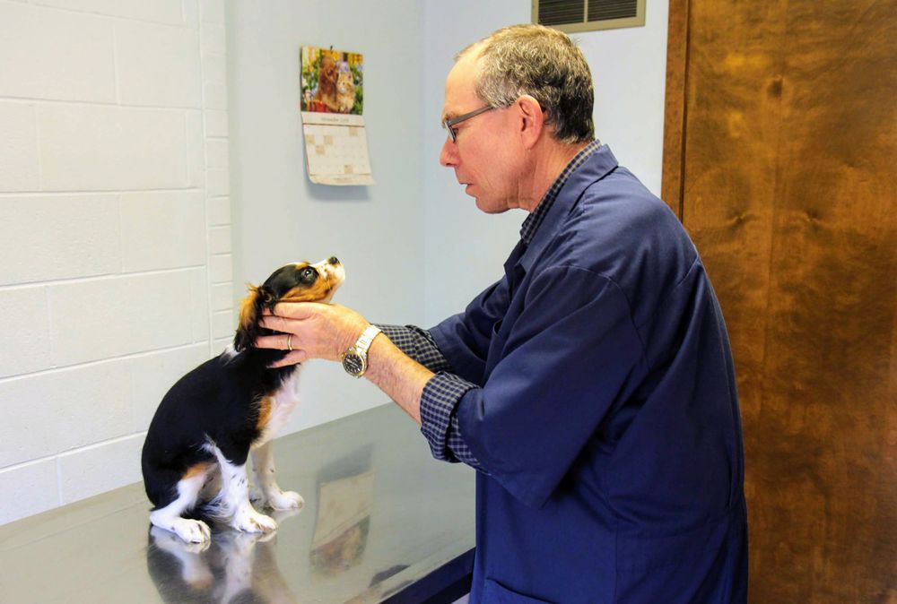 PLATTSBURG ANIMAL CLINIC Updated August 2024 19 Photos 1206 West