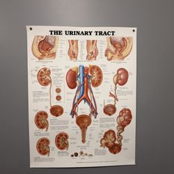 Arizona Urology Specialists - Literature
