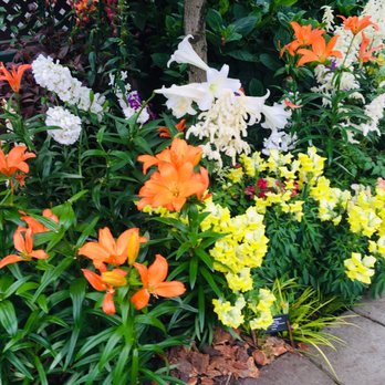 Lincoln Park Conservatory - Parks Near Me - Chicago, Illinois Lincoln Park Conservatory - Parks Near Me - Chicago, Illinois
