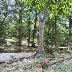 Castroville Regional Park