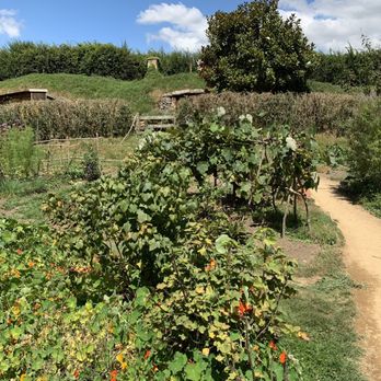Hobbiton - Tours Near Me - Matamata, WKO Hobbiton - Tours Near Me - Matamata, WKO