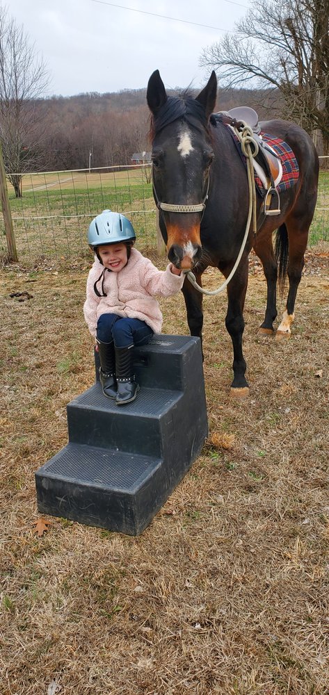 Whispering Winds Farm - equestrian in Morrison, TN