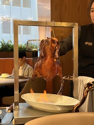 YAO Modern Cantonese Cuisine 富瑤 by null