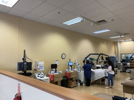 Plasma Center Lexington Kynull