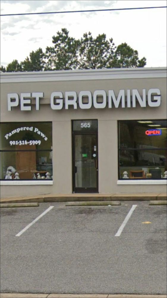 PAMPERED PAWS 565 W Poplar Ave, Collierville, Tennessee Pet