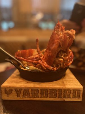 Yardbird Table & Bar by null