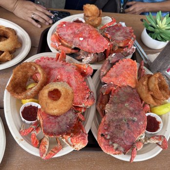 Santa Barbara Shellfish Company - rock crab!!!!!! - Seafood Near Me - Santa Barbara, California Santa Barbara Shellfish Company - rock crab!!!!!! - Seafood Near Me - Santa Barbara, California