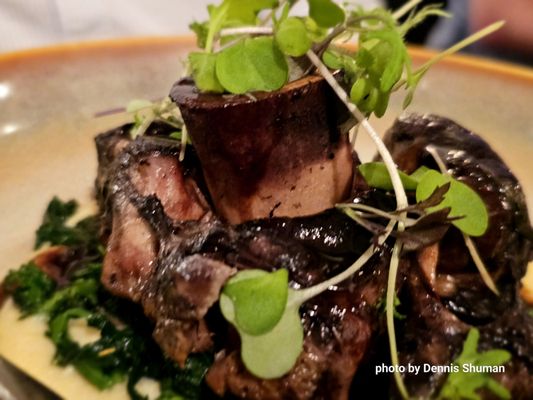 Heirloom Doylestown by null